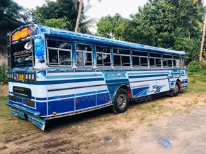 Ashok-Leyland Viking 2019 Bus (Used)
