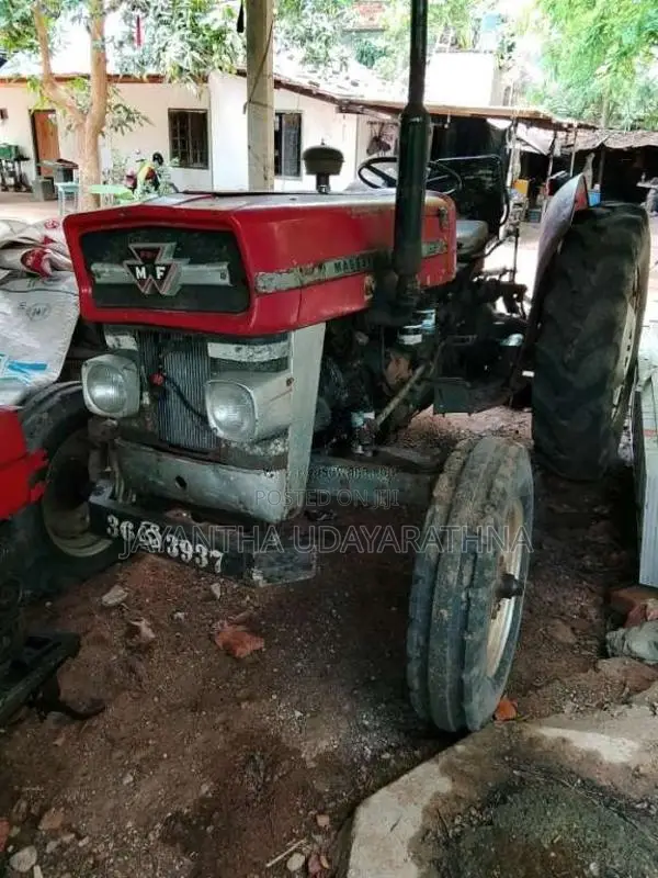 Massey-Ferguson 135 1979 Tractor (Used)