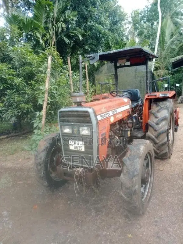 TAFE DI 5245 2021 Tractor (Used)