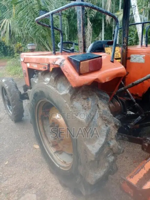 TAFE DI 5245 2021 Tractor (Used)