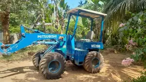 Mitsubishi Ws 200 2011 Heavy-Duty (Used)