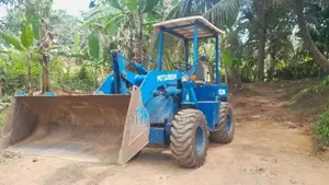 Mitsubishi Ws 200 2011 Heavy-Duty (Used)
