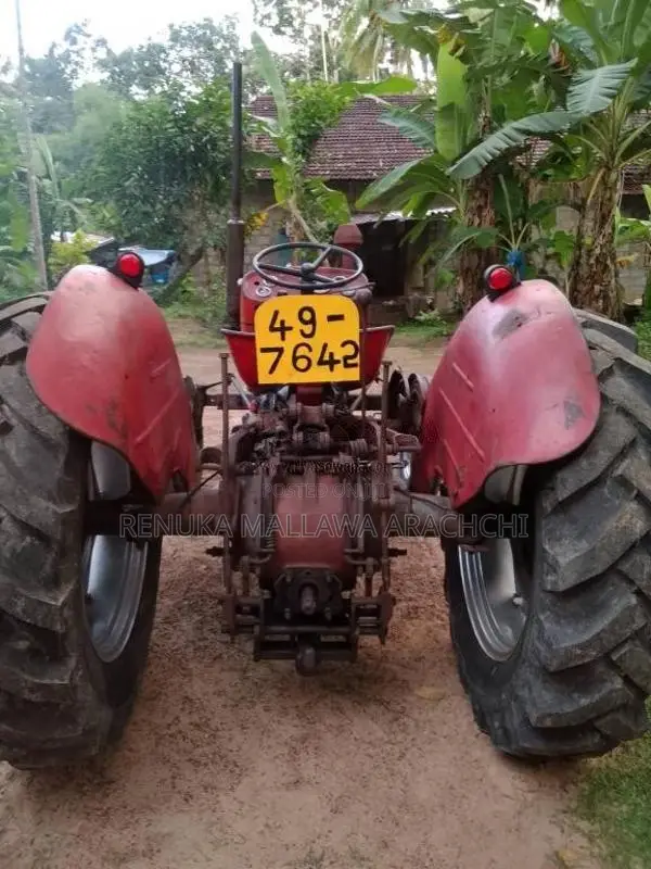 Massey-Ferguson 135 1985 Tractor (Used)