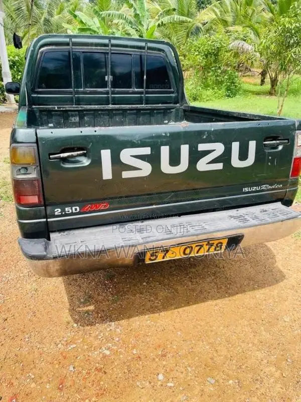 Isuzu Cab 1996 Pickup (Used)