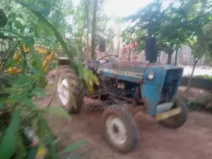 Ford 3600 1980 Tractor (Used)