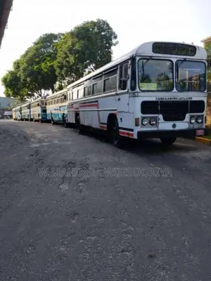 Ashok-Leyland Viking 2004 Bus (Used)