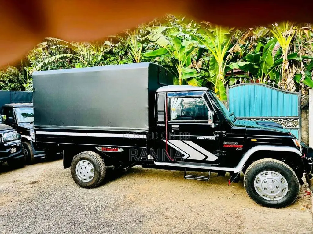 Mahindra Bolero 2019 Pickup (Used)