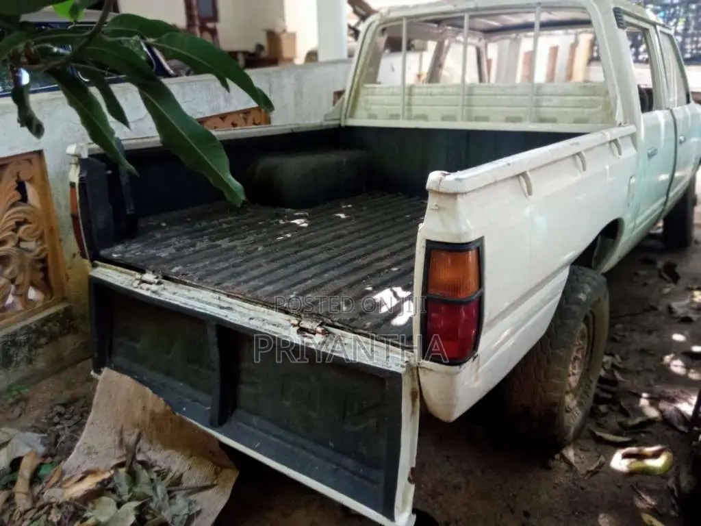 Nissan Datsun 1979 Pickup (Used)