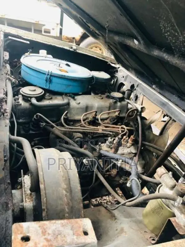 Nissan Datsun 1979 Pickup (Used)