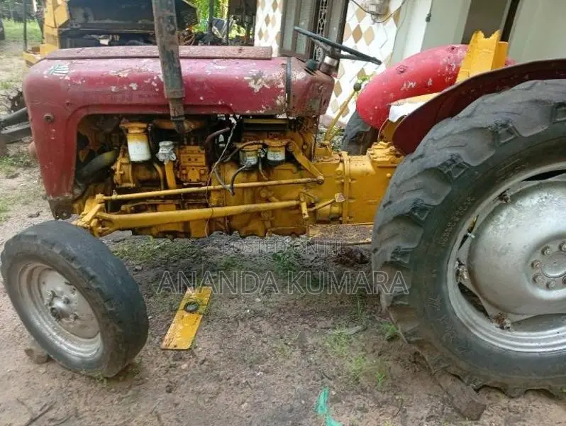 Massey-Ferguson 135 1984 Tractor (Used)