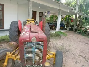 Massey-Ferguson 135 1984 Tractor (Used)