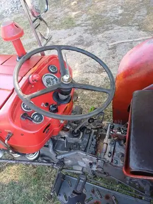 Massey-Ferguson 135 2021 Tractor (Used)