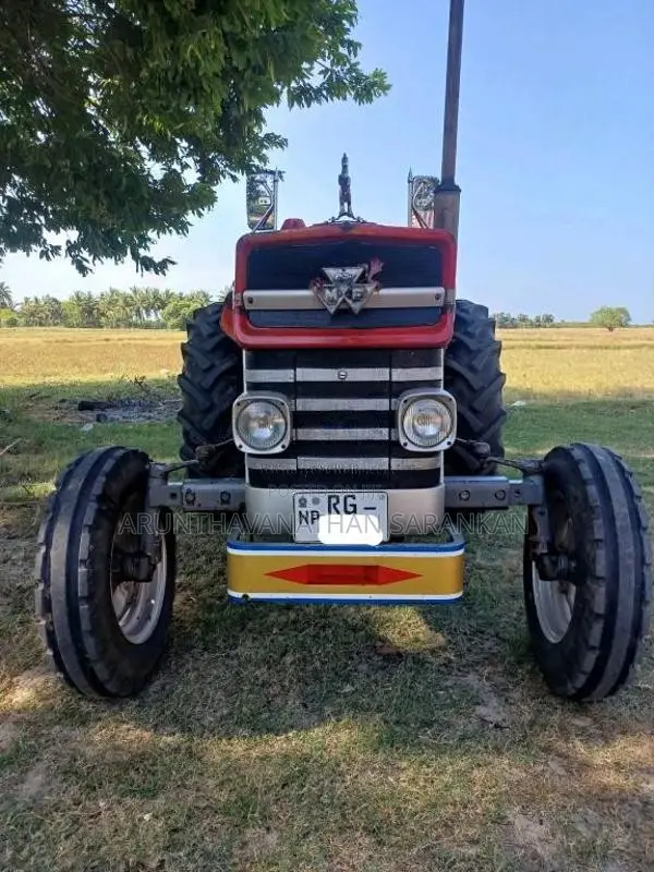 Massey-Ferguson 135 2021 Tractor (Used)