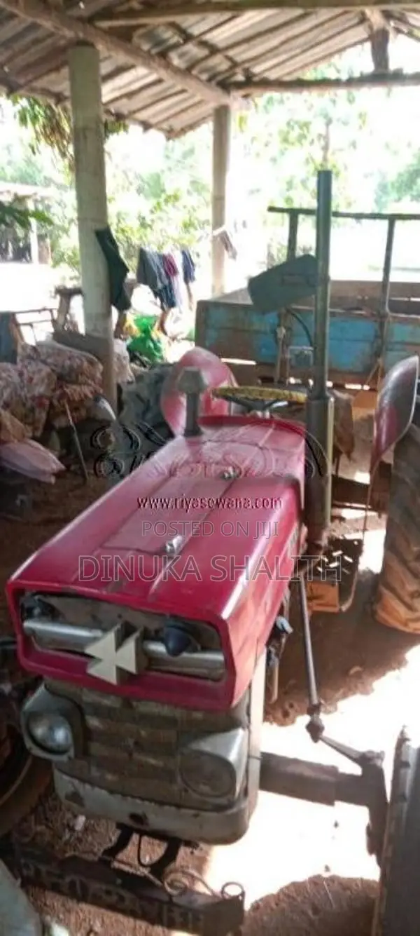 Massey-Ferguson 135 1990 Tractor (Used)