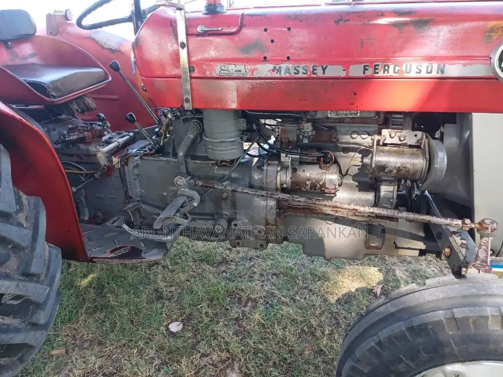Massey-Ferguson 135 2021 Tractor (Used)