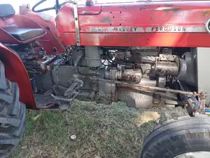 Massey-Ferguson 135 2021 Tractor (Used)