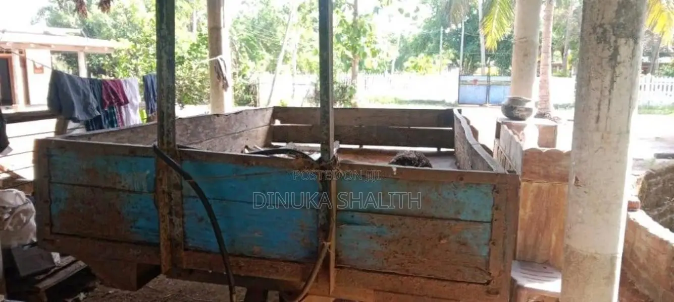Massey-Ferguson 135 1990 Tractor (Used)