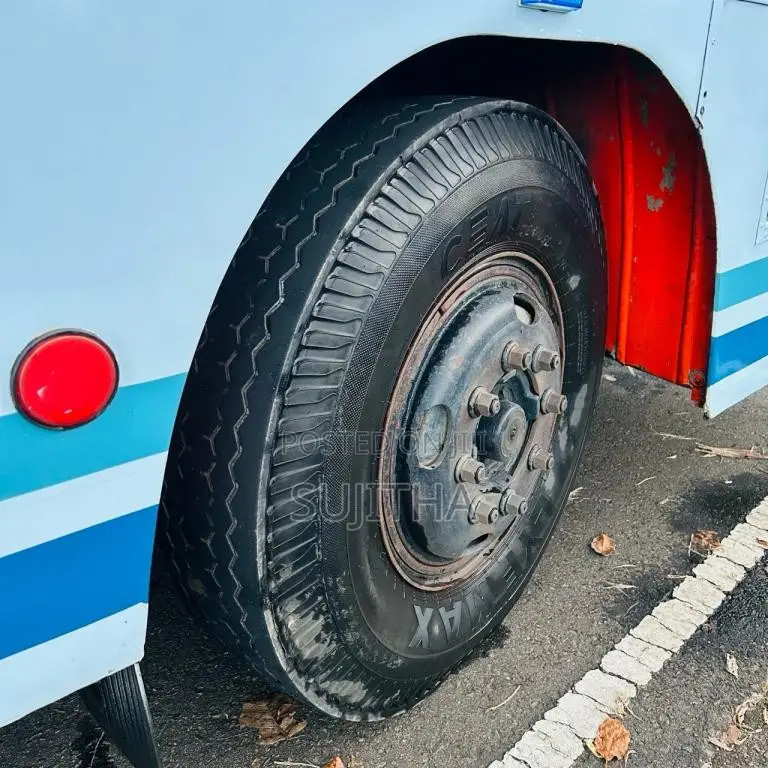 Ashok-Leyland Viking 2002 Bus (Used)