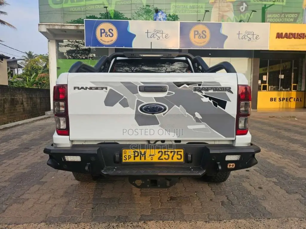 Ford Raptor 2018 Pickup (Used)