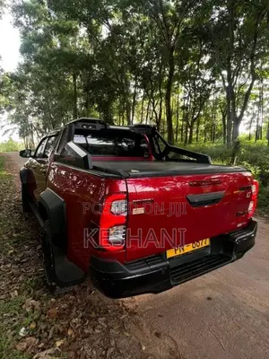 Toyota Hilux Revo 2024 Pickup (Used)