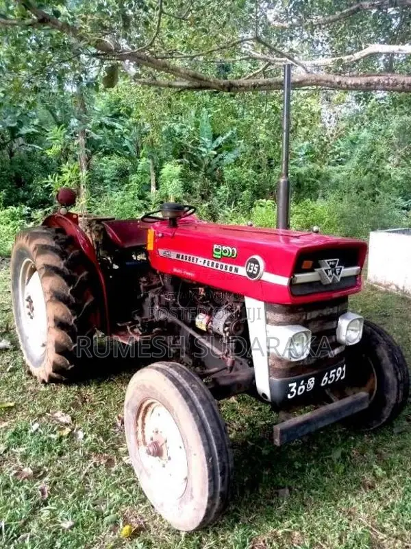 Massey-Ferguson 135 DL 1980 Tractor (Used)