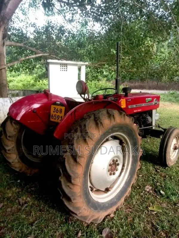 Massey-Ferguson 135 DL 1980 Tractor (Used)