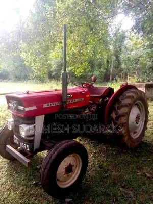 Massey-Ferguson 135 DL 1980 Tractor (Used)