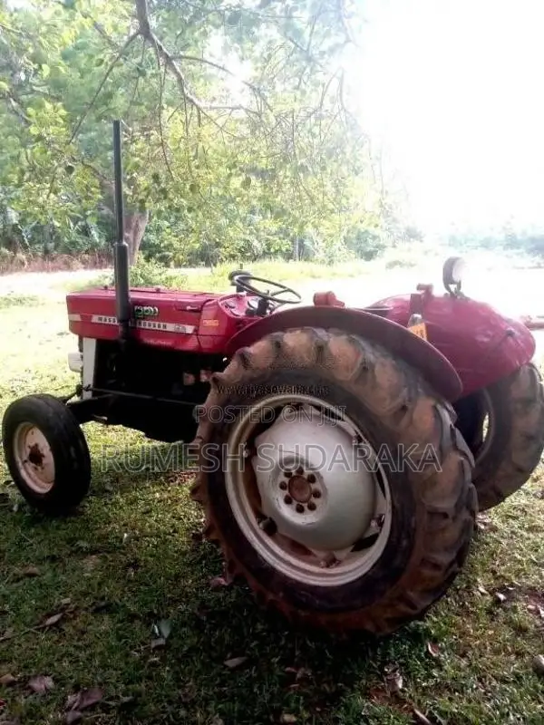 Massey-Ferguson 135 DL 1980 Tractor (Used)