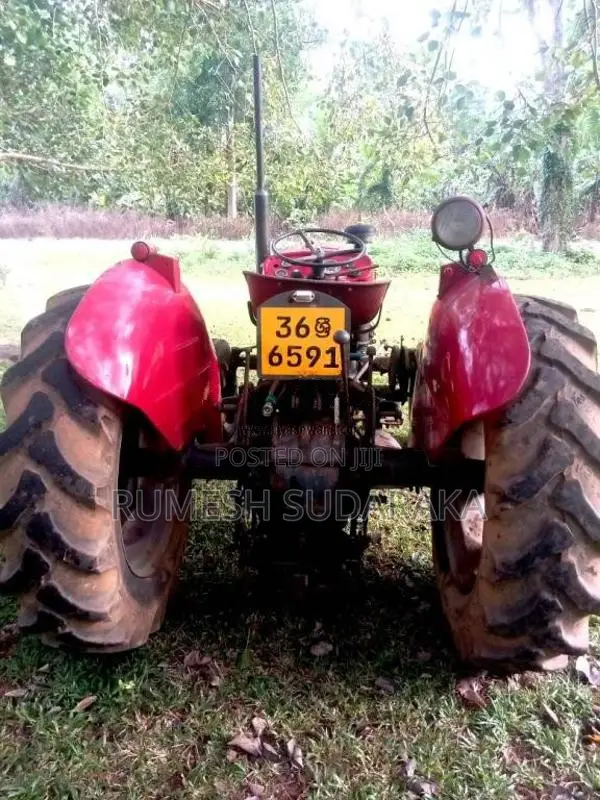 Massey-Ferguson 135 DL 1980 Tractor (Used)