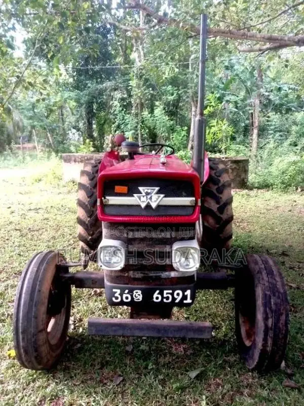 Massey-Ferguson 135 DL 1980 Tractor (Used)