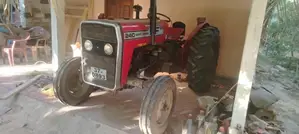 Massey-Ferguson MF 240 1981 Tractor (Used)