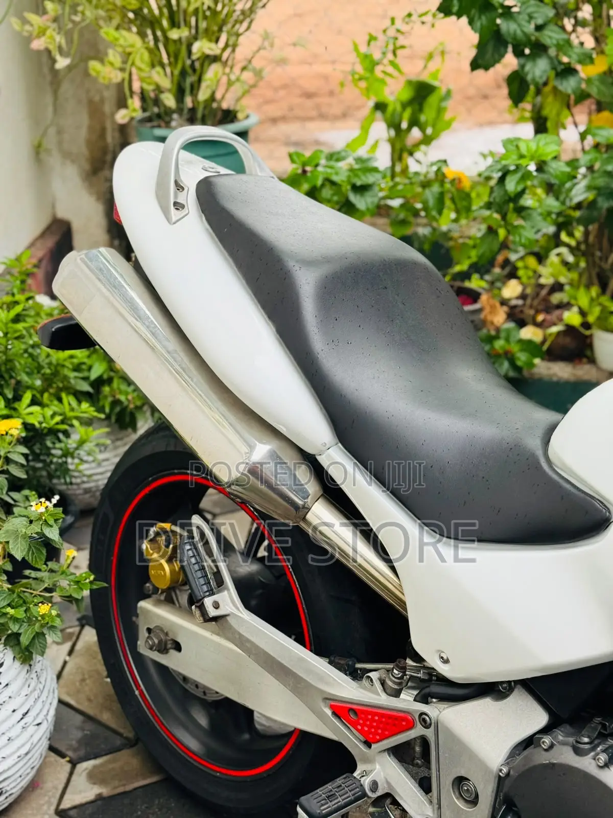 New Honda Hornet 2009 White