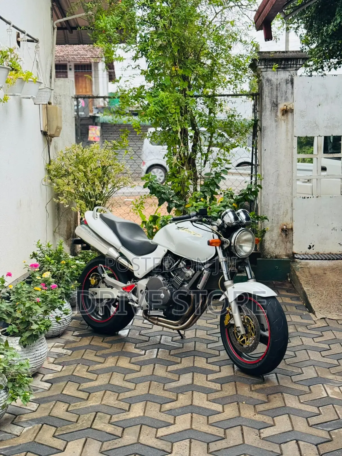 New Honda Hornet 2009 White