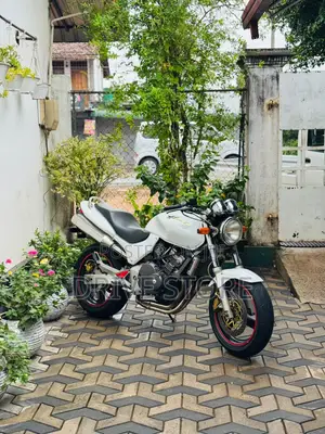 New Honda Hornet 2009 White