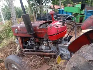 Massey-Ferguson 135 1983 Tractor (Used)