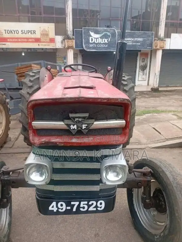 Massey-Ferguson 135 1981 Tractor (Used)