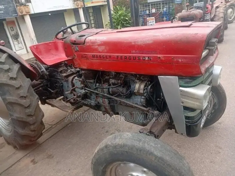 Massey-Ferguson 135 1981 Tractor (Used)