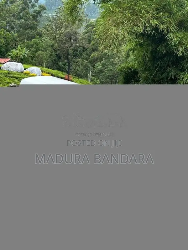 Mitsubishi Rosa 2012 Bus (Used)