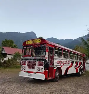Ashok-Leyland Viking 2006 Bus (Used)