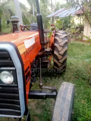 TAFE 45DI 2018 Tractor (Used)