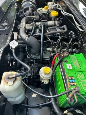 Mahindra Bolero Maxi Sport 2019 Pickup (Used)