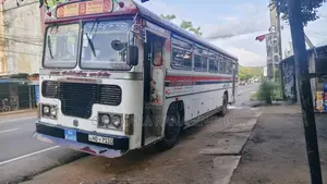 Ashok-Leyland Leyland 2009 Bus (Used)