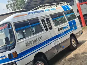 Mitsubishi Rosa 1981 Bus (Used)