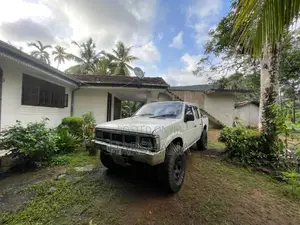Nissan Datsun 1984 Pickup (Used)