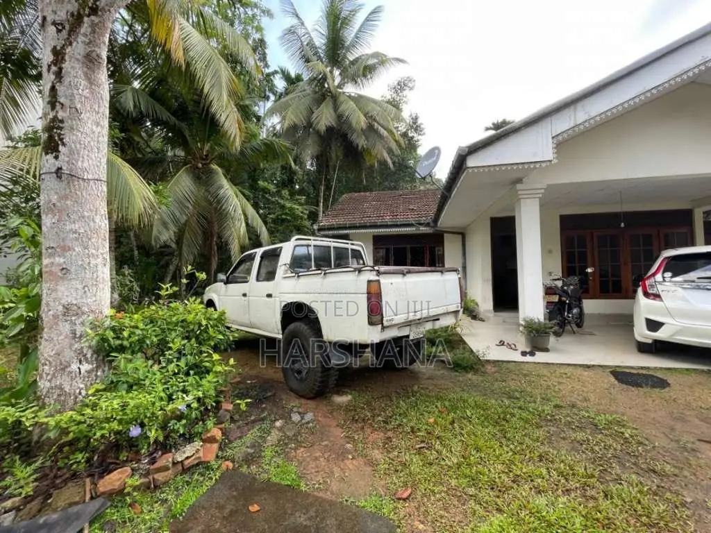 Nissan Datsun 1984 Pickup (Used)