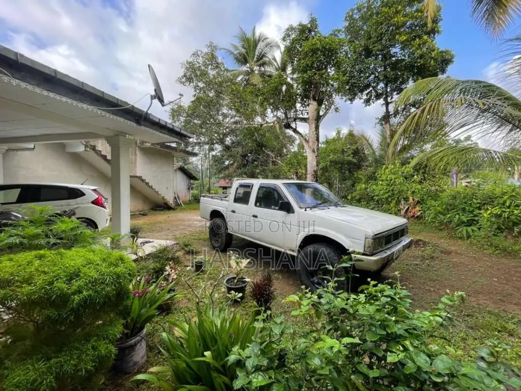Nissan Datsun 1984 Pickup (Used)