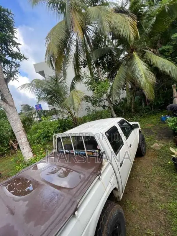 Nissan Datsun 1984 Pickup (Used)