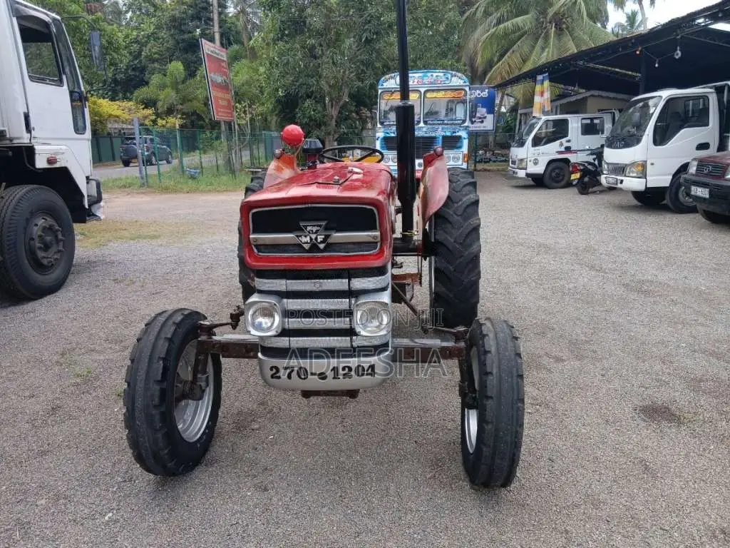 Massey-Ferguson 135 DL 1979 Tractor (Used)