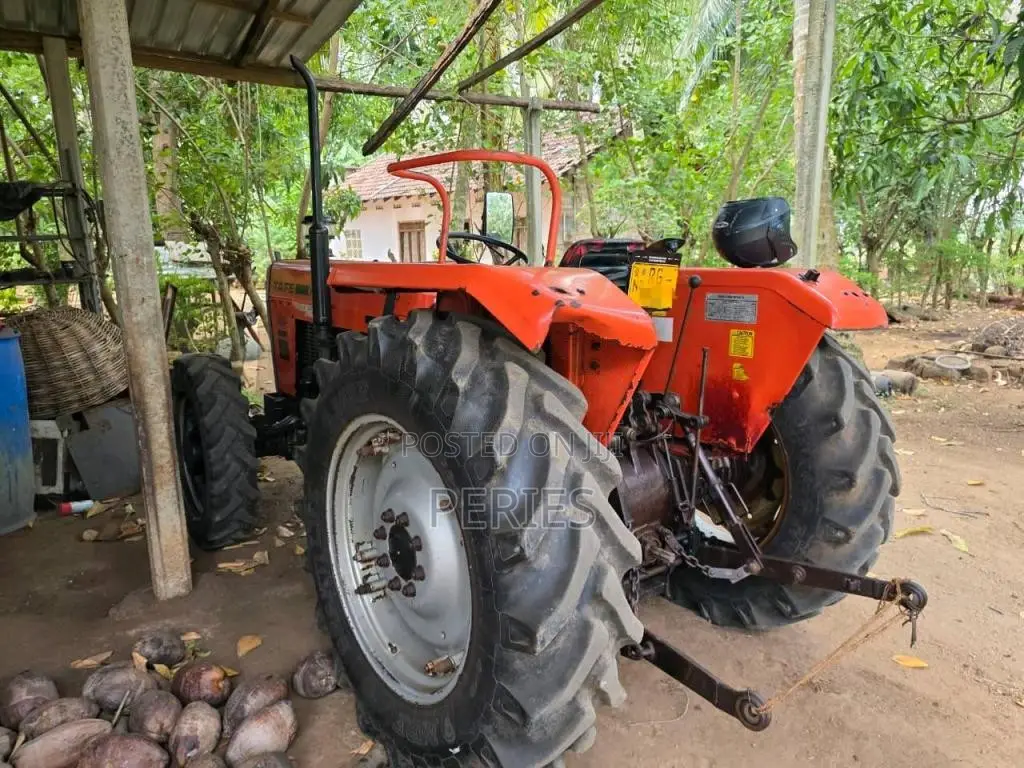 TAFE 45DI 2019 Tractor (Used)