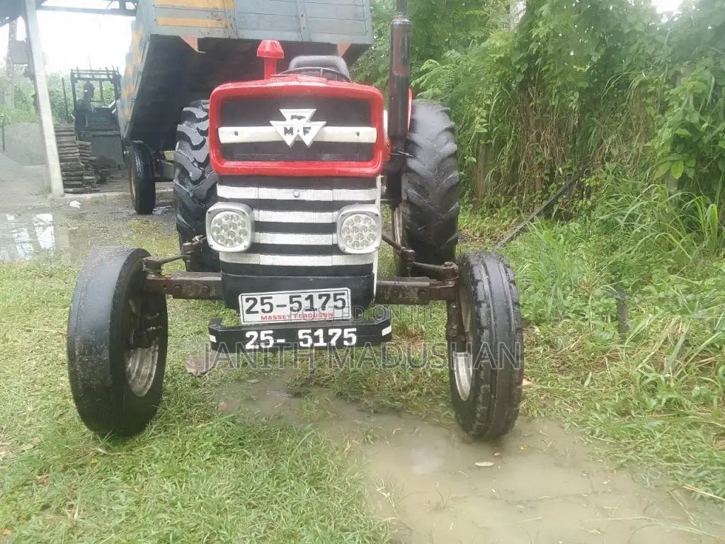 Massey-Ferguson 135 D 1982 Tractor (Used)